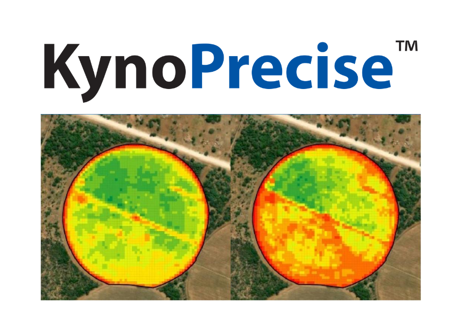 NDVI beelde op ‘n sirkel koring in die Kaprivistrook.