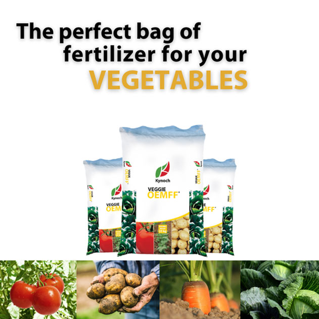 Fertiliser for Winter Vegetables