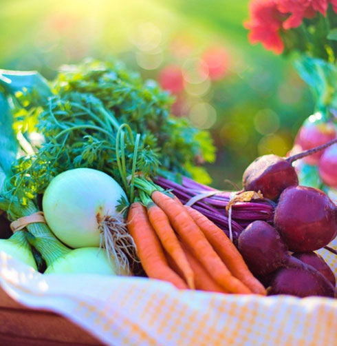 fertiliser for Winter Vegetables